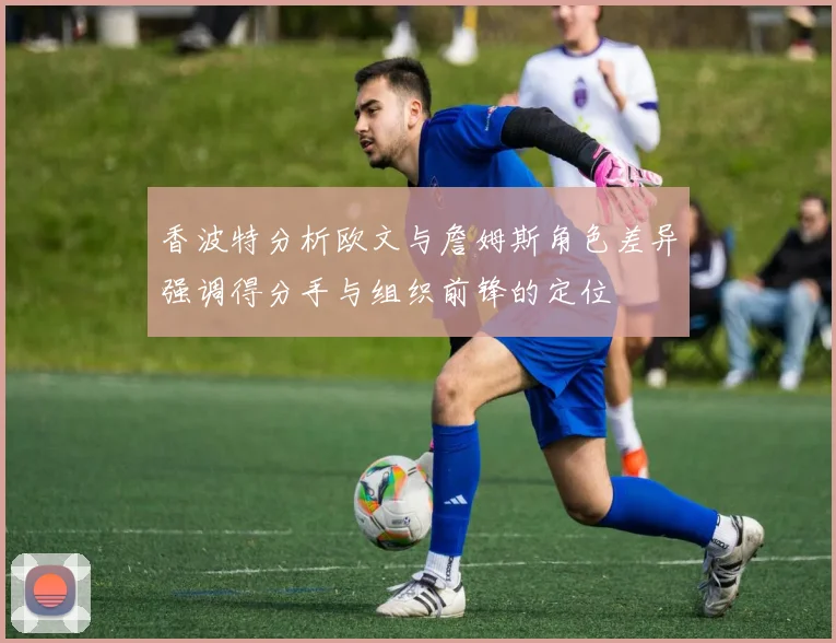 香波特分析欧文与詹姆斯角色差异强调得分手与组织前锋的定位
