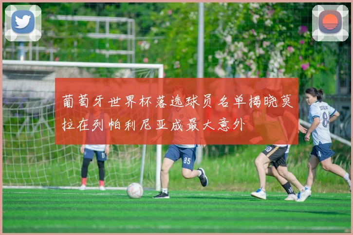 葡萄牙世界杯落选球员名单揭晓莫拉在列帕利尼亚成最大意外