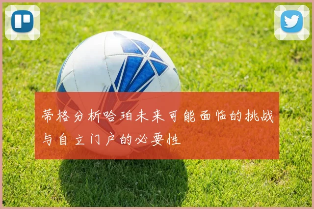 蒂格分析哈珀未来可能面临的挑战与自立门户的必要性