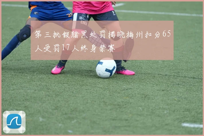 第三批假赌黑处罚揭晓梅州扣分65人受罚17人终身禁赛