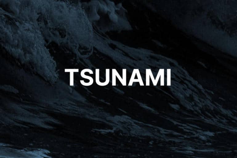 Goole Tsunami Vulnerability Scanner